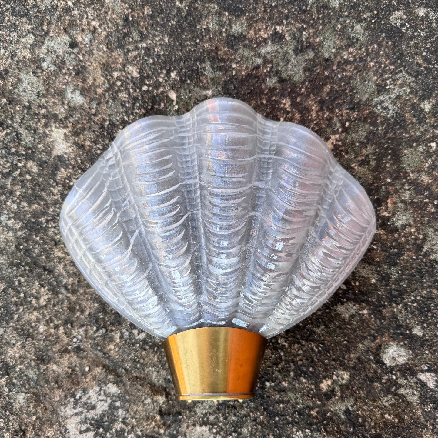”Coquille” wall lamp by ASEA