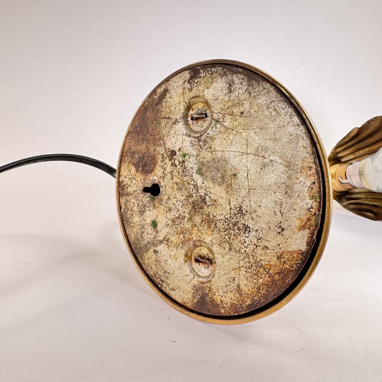Clam shell table/wall lamp in brass