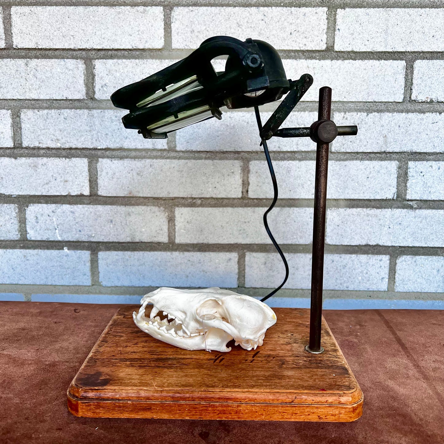 STGD Gruber working lamp