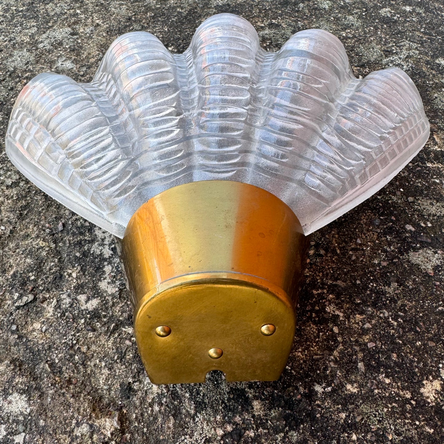 ”Coquille” wall lamp by ASEA