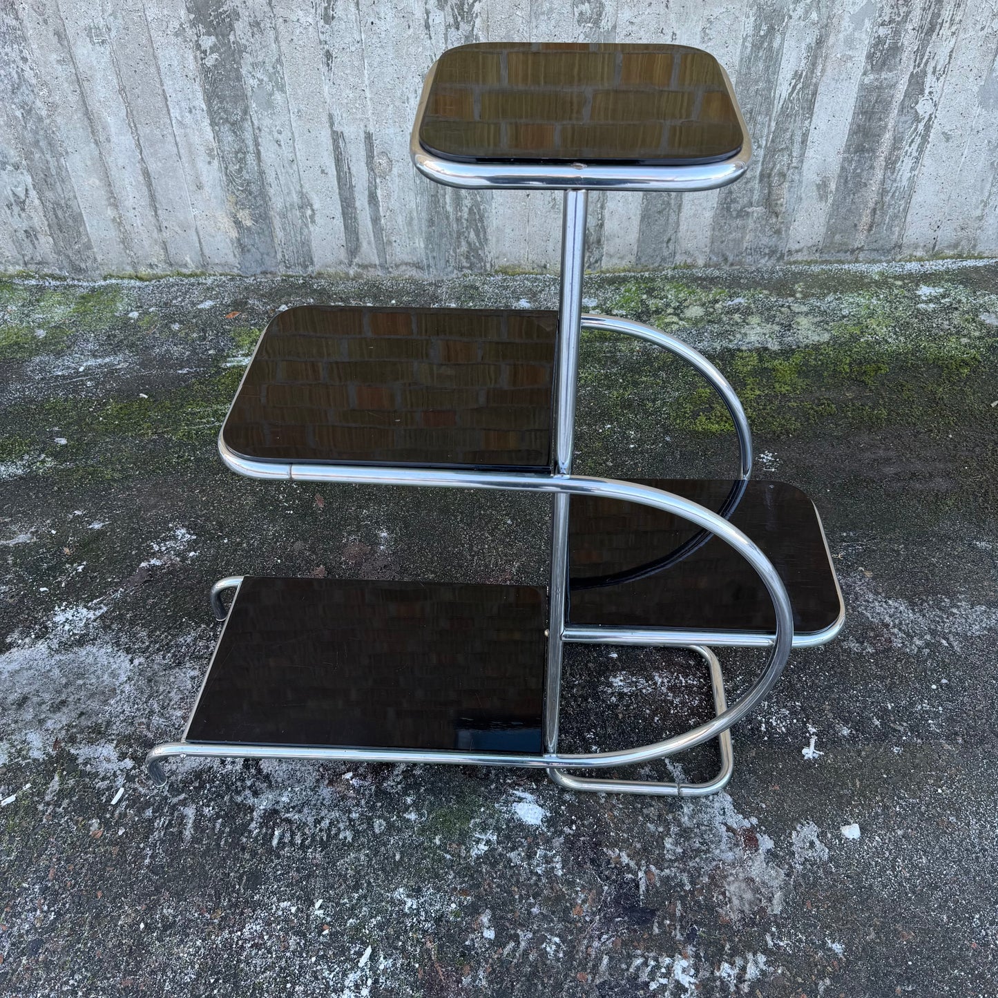 Hylla av Emile Guyot