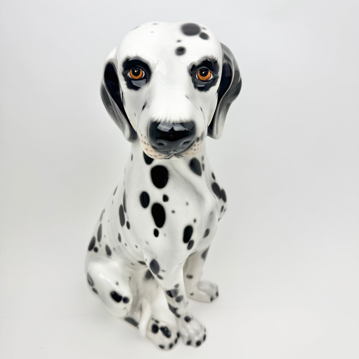 Italiensk porslinshund dalmatin