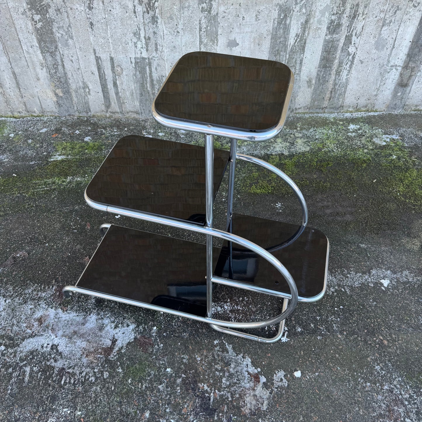 Hylla av Emile Guyot