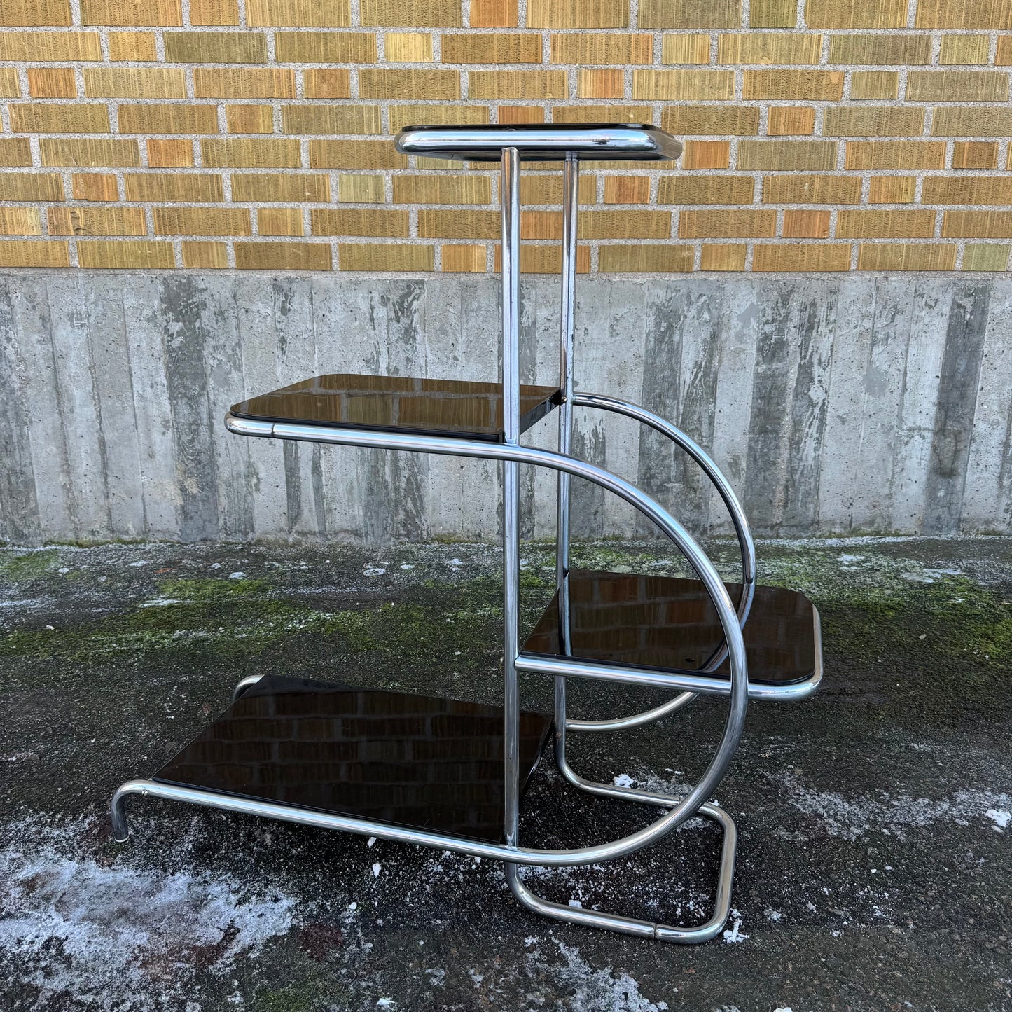 Hylla av Emile Guyot